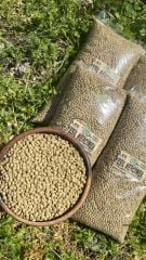 Yeşil Mercimek 1 Kg