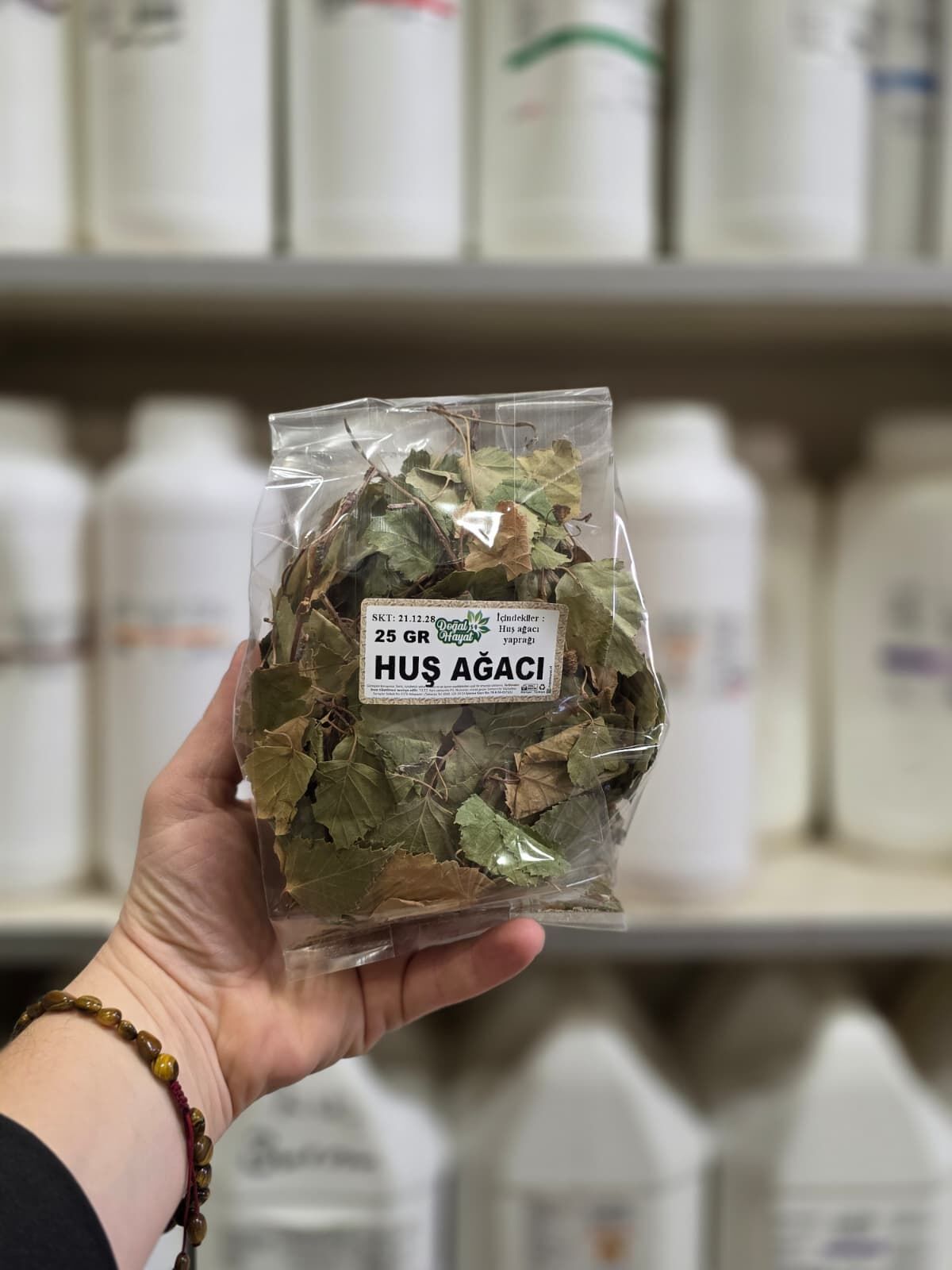 HUŞ AĞACI YAPRAĞI