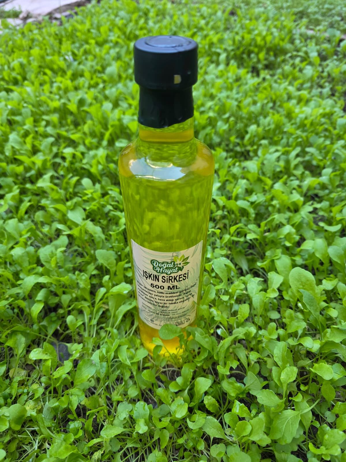 IŞKIN SİRKESİ 500 ML