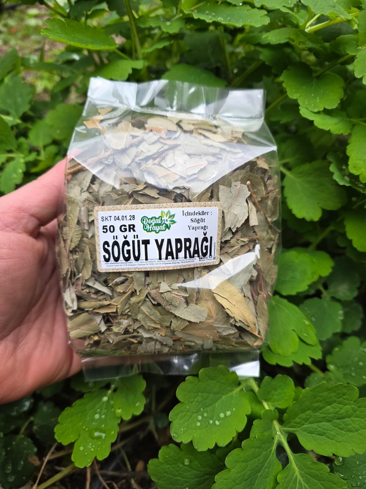 Söğüt Yaprağı 50 gr