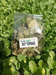 DUT YAPRAĞI 30 GR