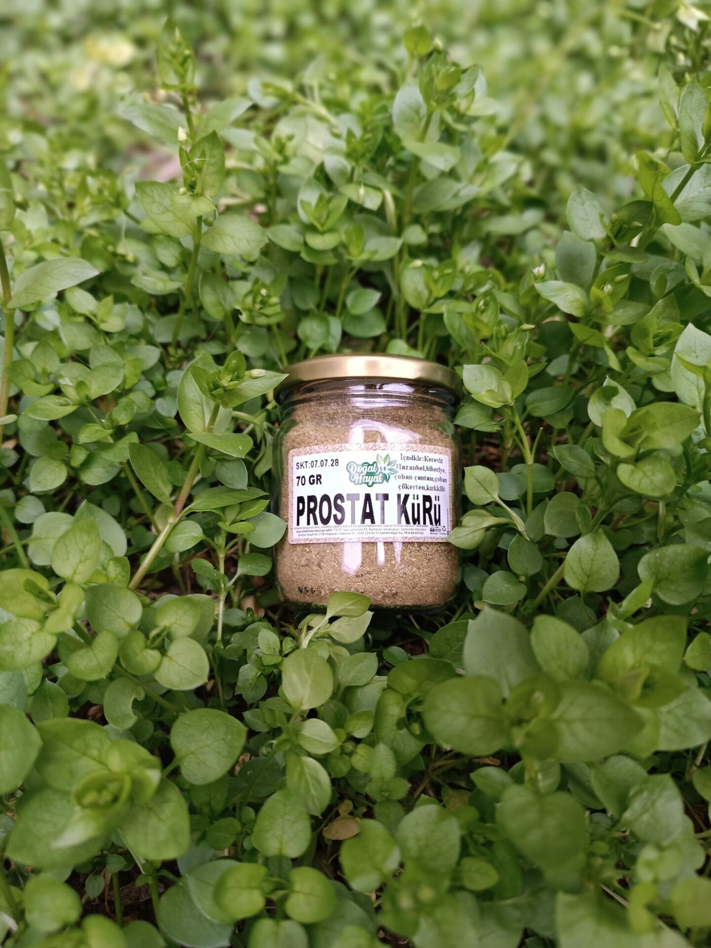 PROSTAT KÜRÜ 70 GR (TEKLİ)