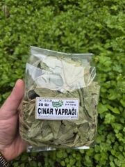 ÇINAR YAPRAĞI  20 GR