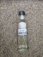 LAVANTA SUYU 250 ML