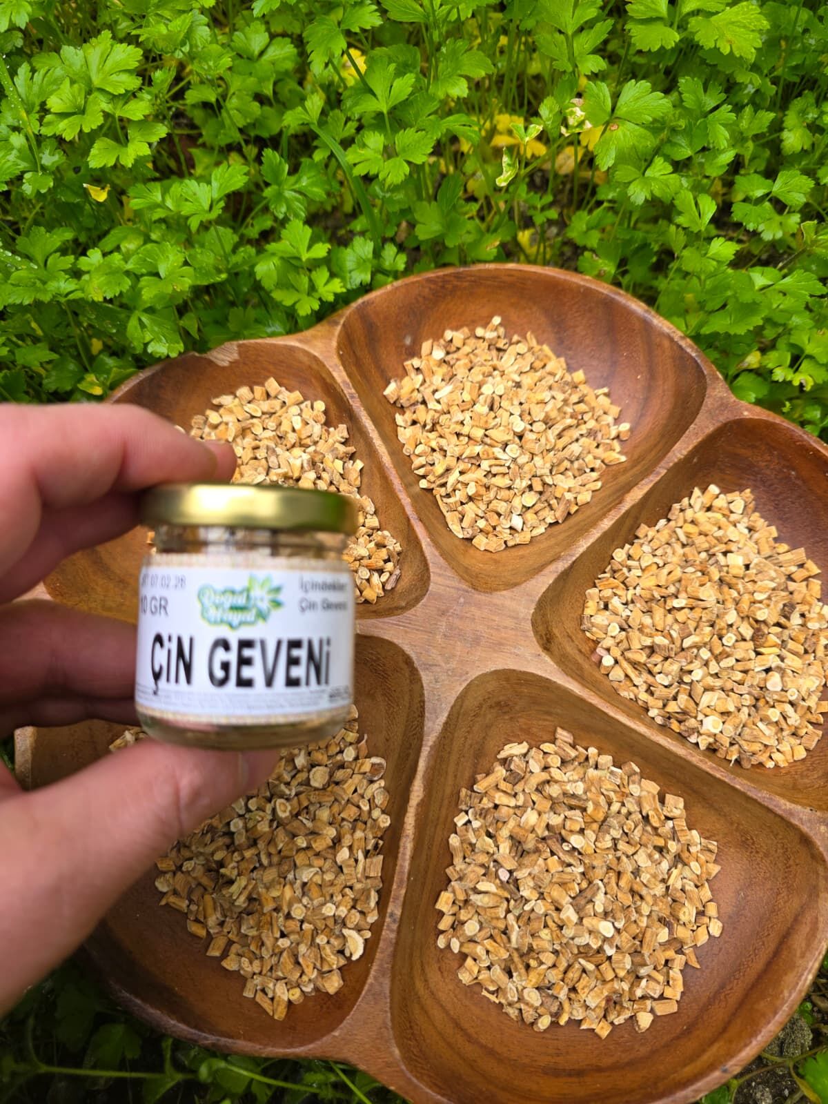 ÇİN GEVENİ 10 GR
