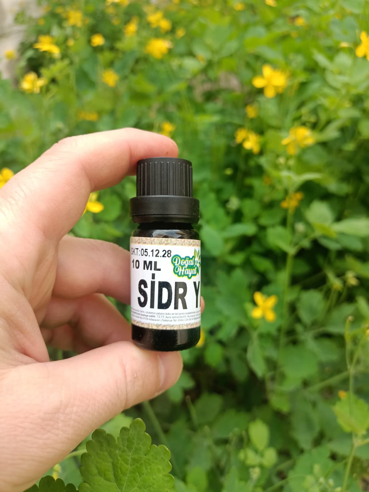 SİDR YAĞI 10 ML (Soğuk sıkım)