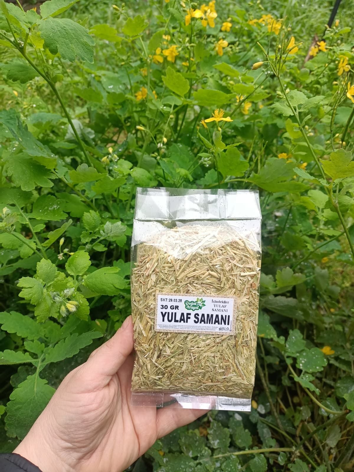 Yulaf Samanı 30 GR