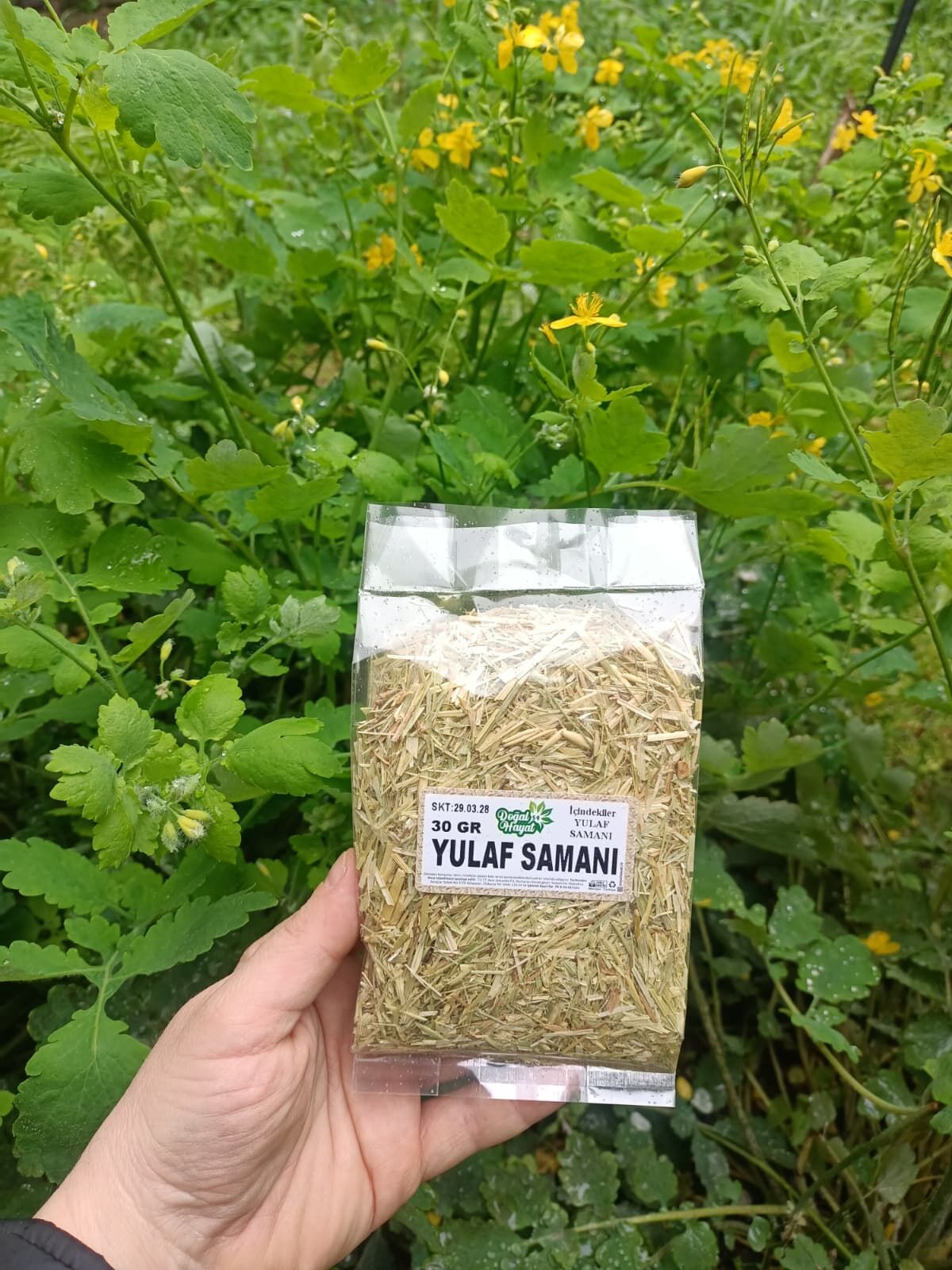 Yulaf Samanı 30 GR