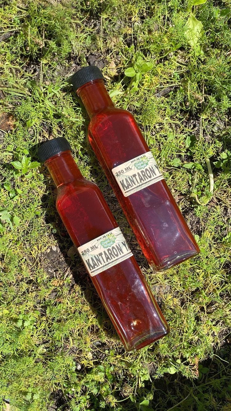Kantaron Yağı 250 Ml