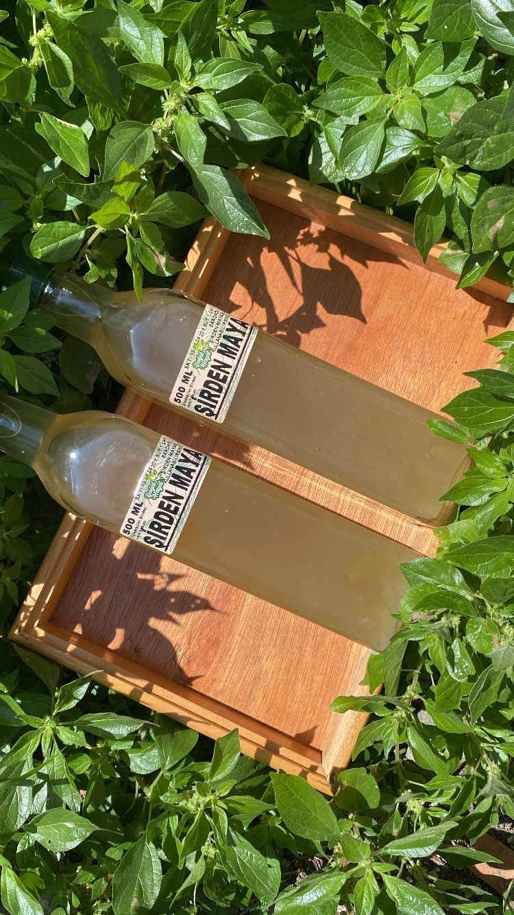 Şirden Mayası 250 ML