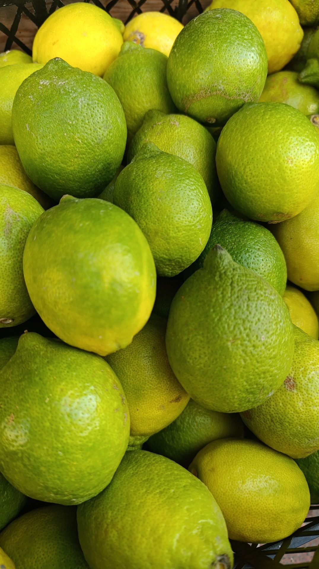 Limon 1 Kg
