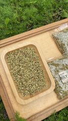 Bilya Kekik 30 Gr / Top Kekik