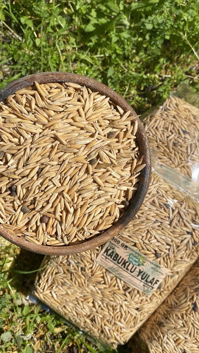 Kabuklu (Tane) Yulaf 500 Gr