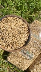 Kabuklu (Tane) Yulaf 500 Gr