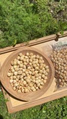 Fındık (Kavrulmuş) 250 Gr