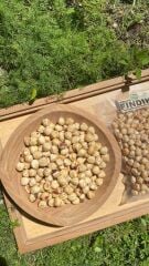 Fındık (Kavrulmuş) 150 Gr