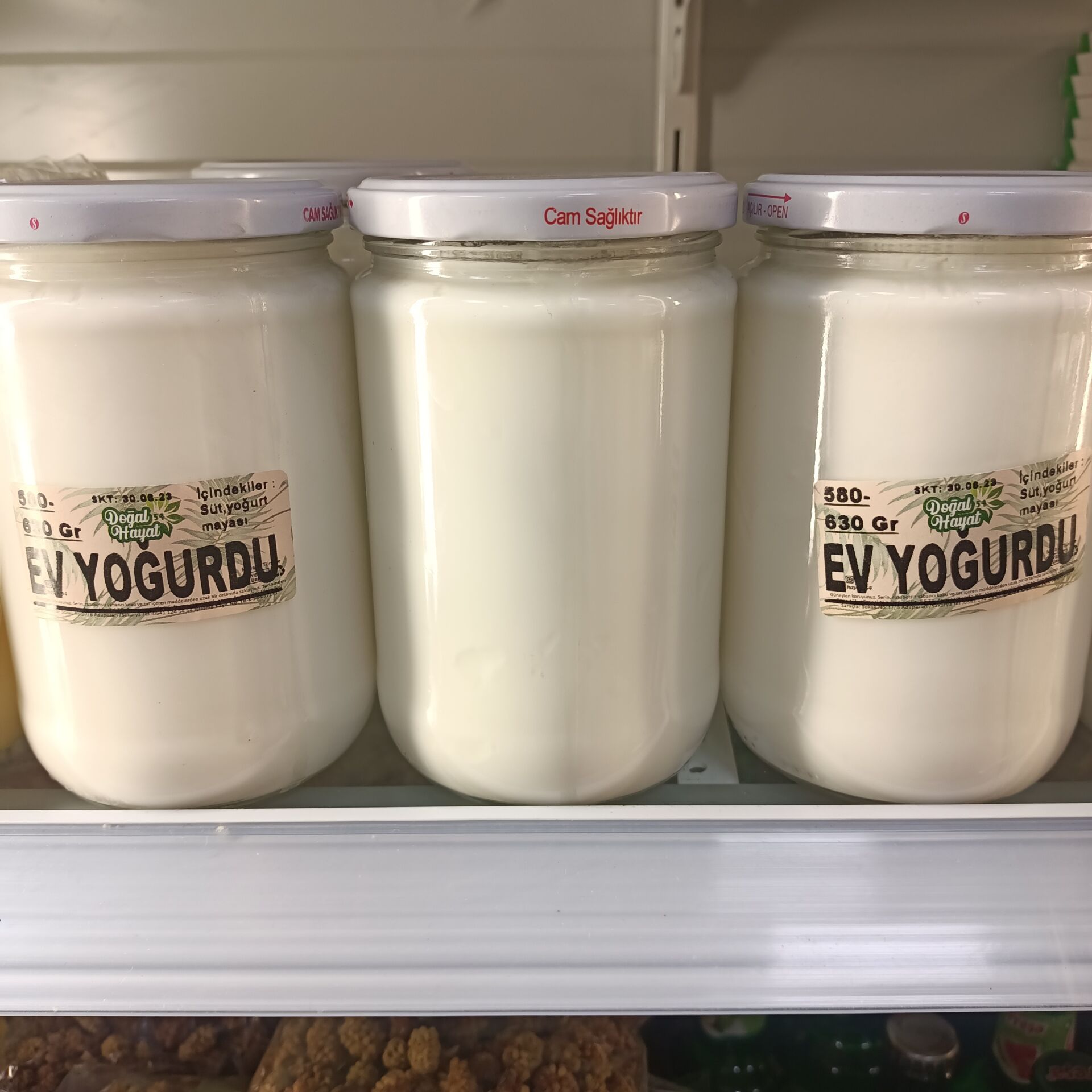 Yoğurt (ev yoğurdu)