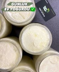 Yoğurt (ev yoğurdu)