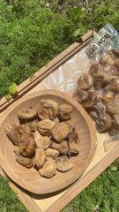 DAĞ İNCİRİ (Kürlük) 500 Gr