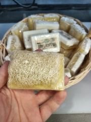 Ballı, Çörekotlu, Keçisütlü Kabak lifli sabun