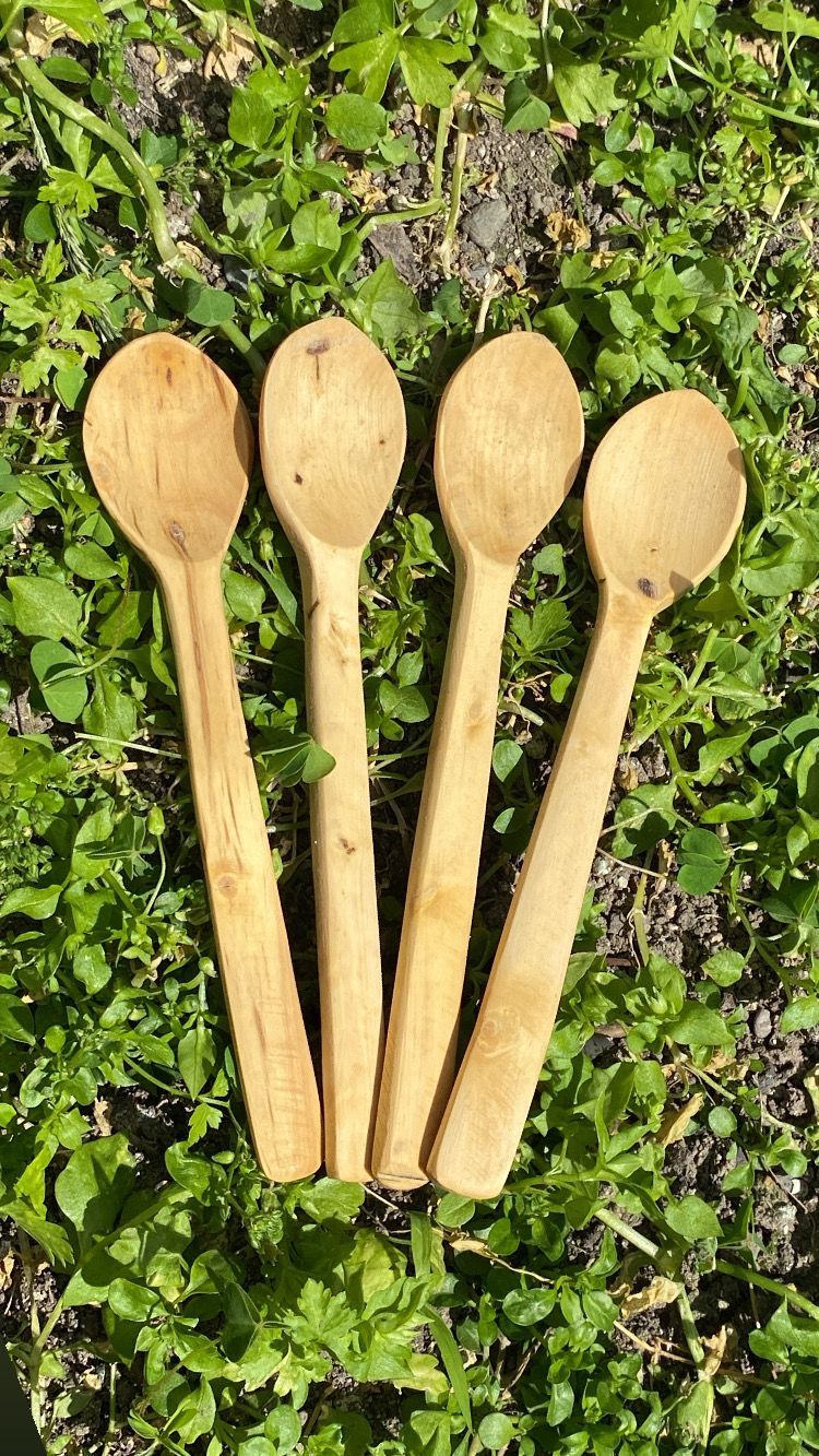 Şimşir kaşık küçük boy 8-10 cm