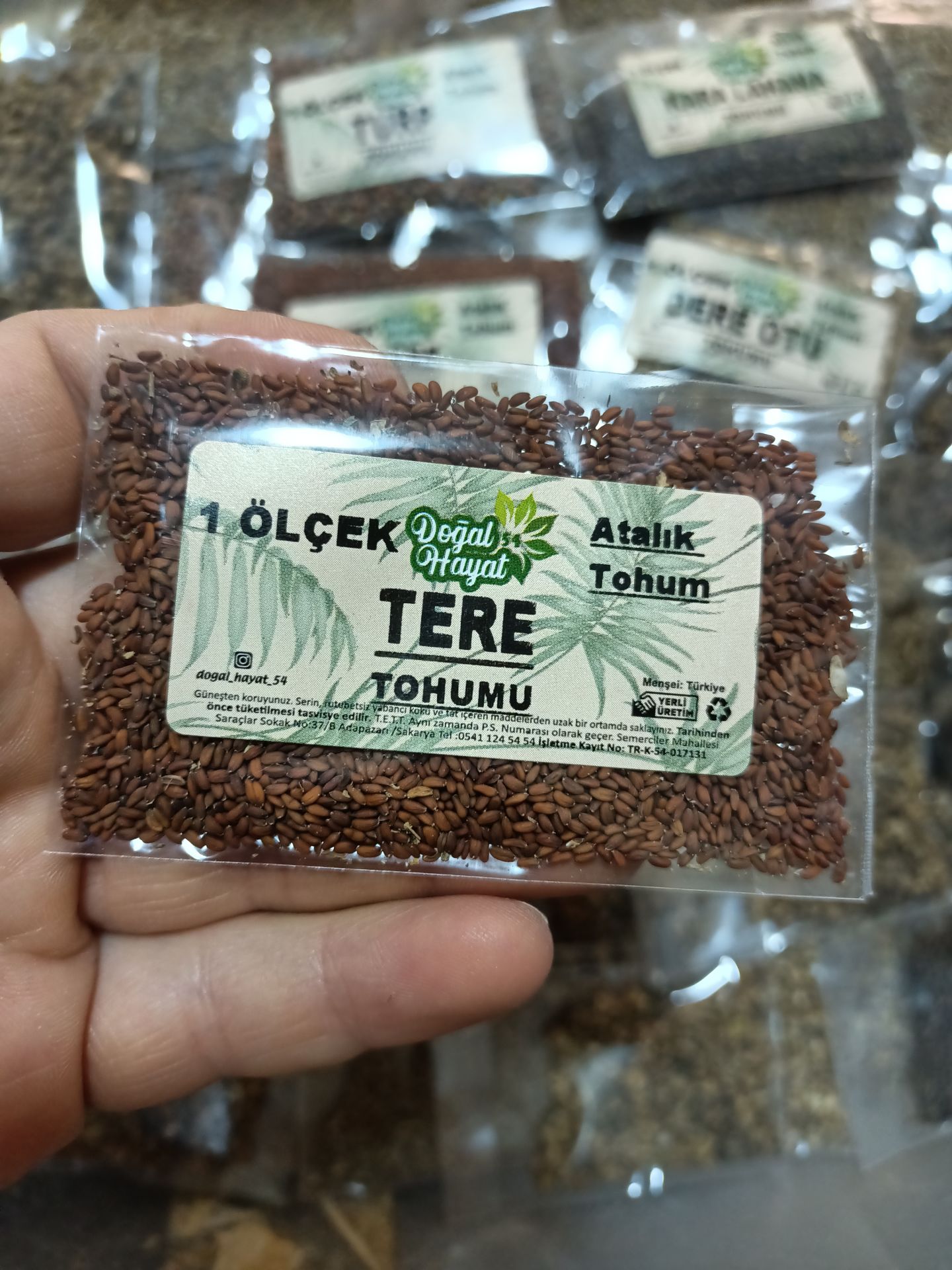 Tere tohumu 1 Ölçek